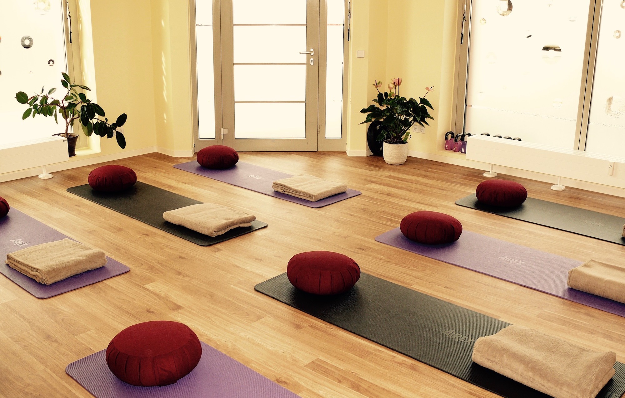 Yoga-Kurs-in-der-Physiopraxis-Schreiber-in-Dresden-Seidnitz Yoga-Kurs in der Physiopraxis Schreiber in Dresden Seidnitz